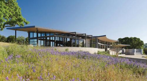 A California ranch home surrounded by lavender