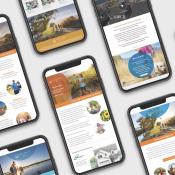 Web campaign for Shea Homes' Solstice community