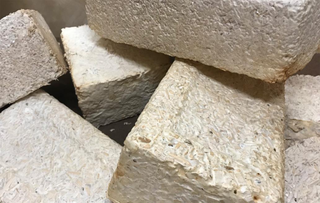 Bricks produced using mycelium, yard waste and wood chips as a part of the myco-architecture project. Similar materials could be used to build habitats on the Moon or Mars