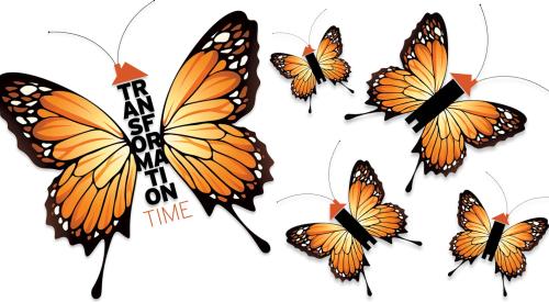 Reinventing home building just like a butterfly's transformation